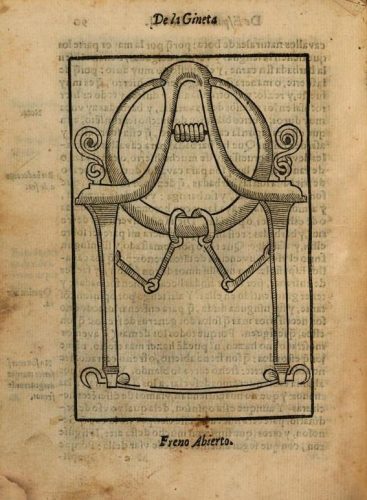 Il morso “a la gineta” era identico ai morsi tuttora in uso in Nord Africa (Pedro Fernandez de Andrade, Libro de la Gineta de Espana, 1599)